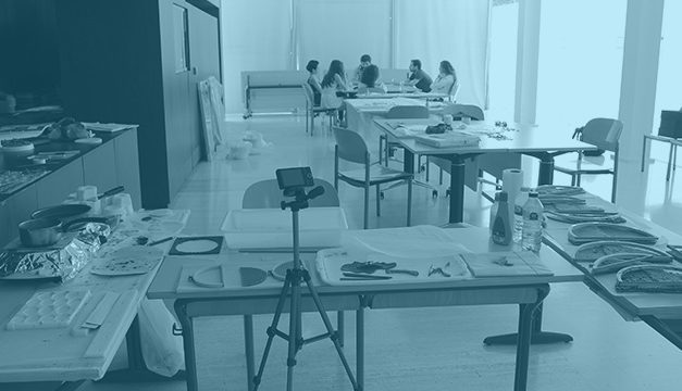 La UA te ofrece Plus++