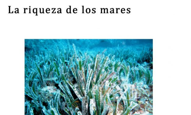 Visita la verdadera Tabarca