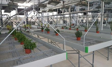 Cultivar alimentos sin residuos de plaguicidas o fitosanitarios químicos, nuevo curso en la Universidad de Alicante