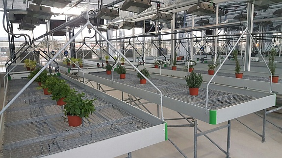 Cultivar alimentos sin residuos de plaguicidas o fitosanitarios químicos, nuevo curso en la Universidad de Alicante